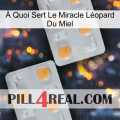 À Quoi Sert Le Miracle Léopard Du Miel 25